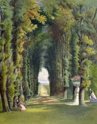Vista in the Gardens of Teddesley, from 